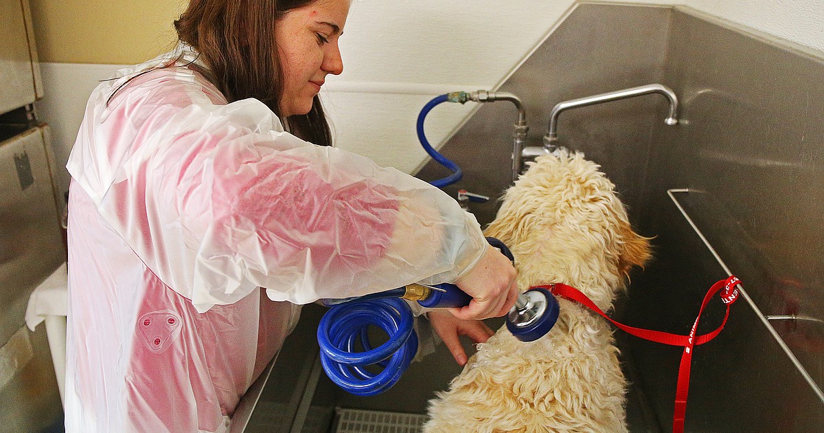 What if WATER HURT? Coeur d'Alene Press